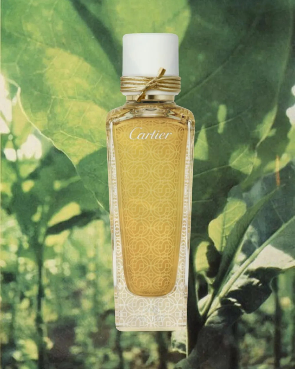 Oud Vanille Cartier 75ml Eau de Parfum