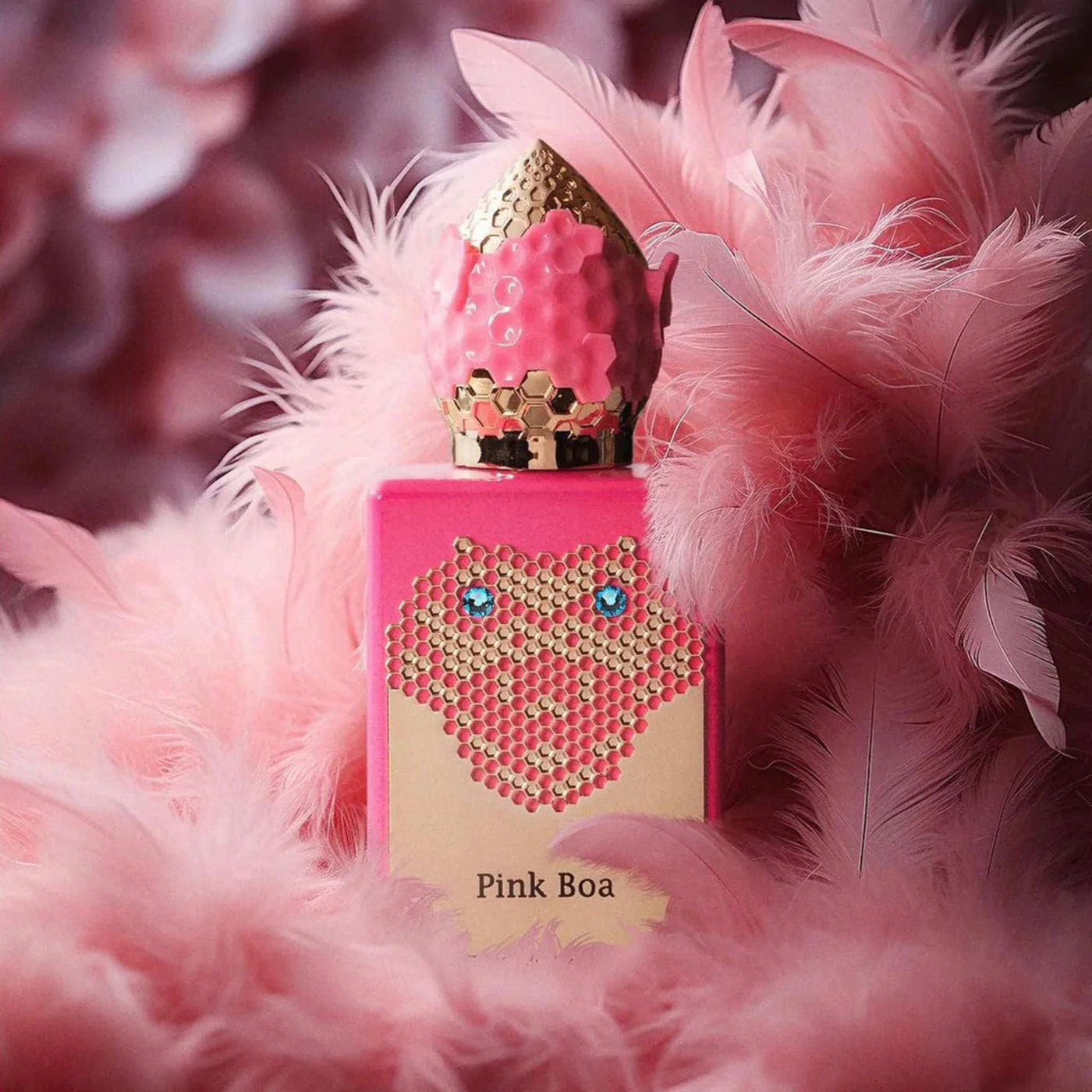Pink Boa Stéphane Humbert Lucas  50ml Eau de Parfum